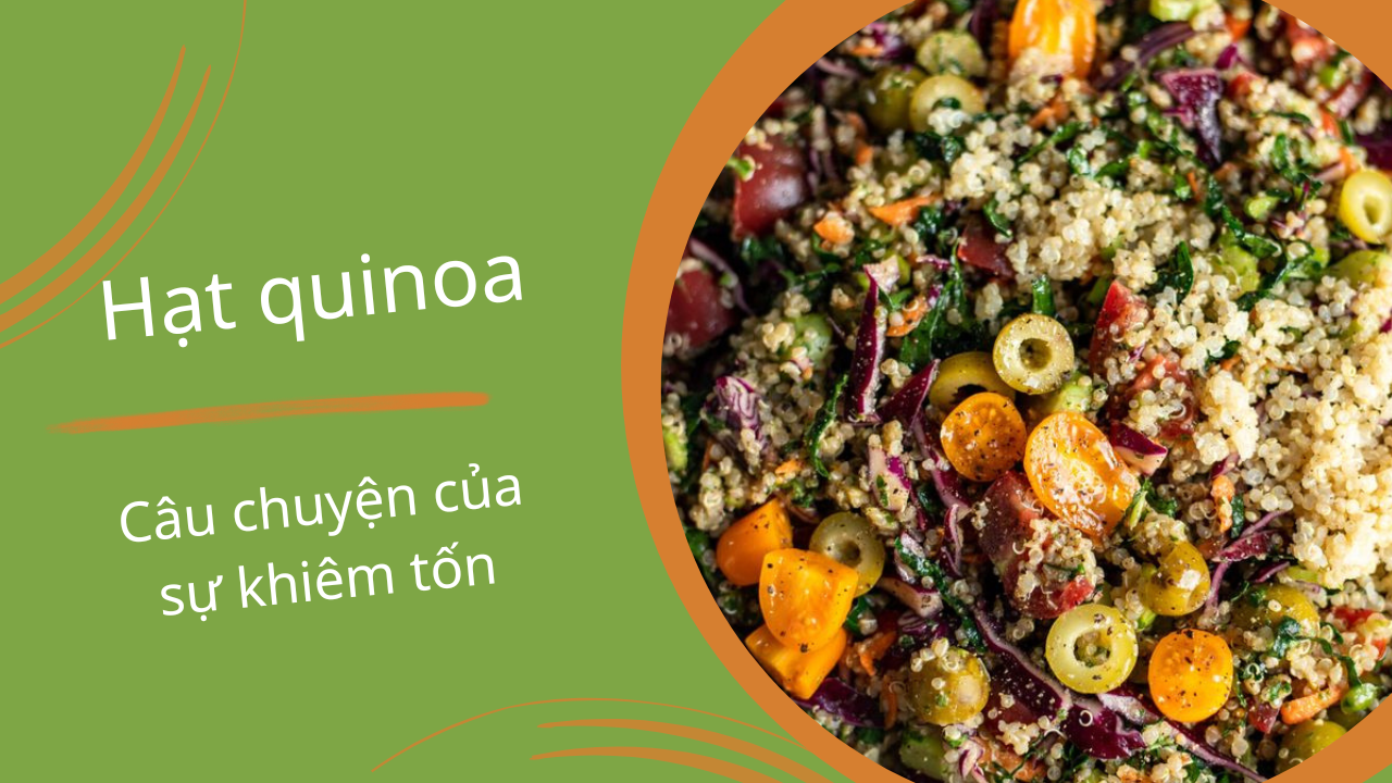 hạt quinoa